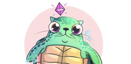 The Honu Kitty: Supporting Ocean Conservation the Crypto Way